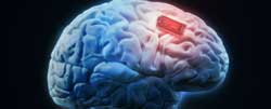 شرکت رسام یو پی اس : تولید نخستین رابط مغز به مغز انسانی